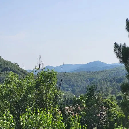 Convivial 6-10-13 Pers Avec Jacuzzi Cevennes Entre Anduze Et Ales *