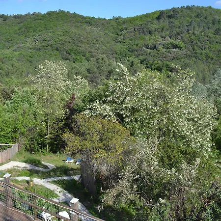 Convivial 6-10-13 Pers Avec Jacuzzi Cevennes Entre Anduze Et Ales Semesterbostad Carnoules (Gard)